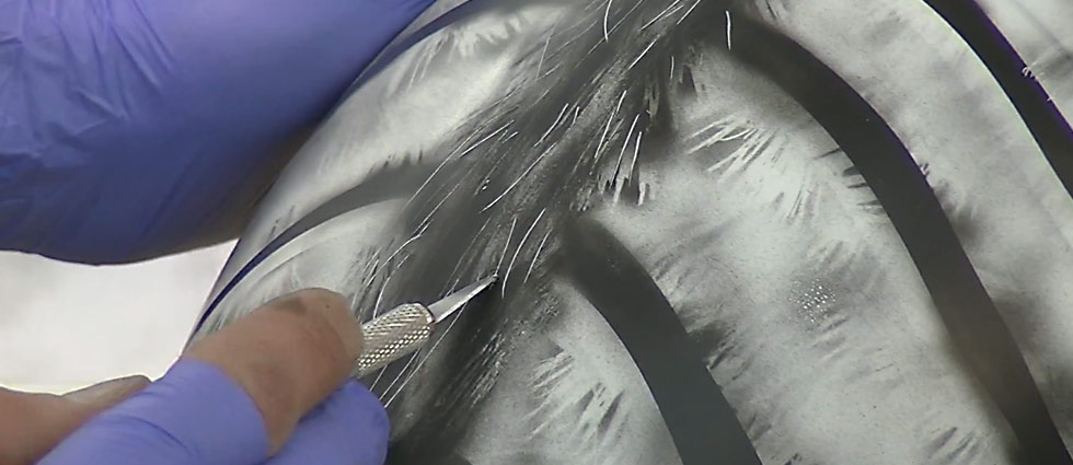 Airbrush Kawasaki Drifter