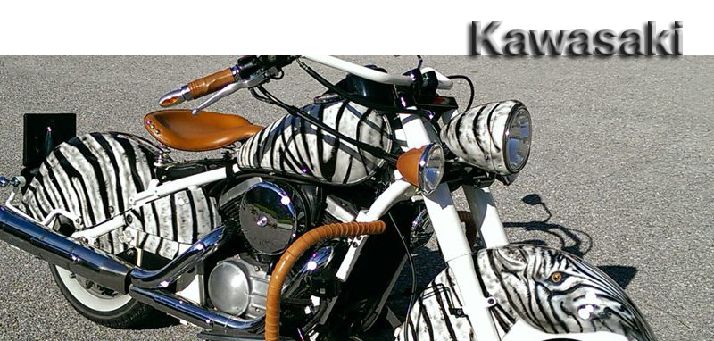 Kawasaki Drifter Projekt