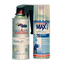 Paint kit 2K clear coat and handle